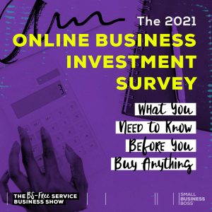 text that reads "online business investment survey:"