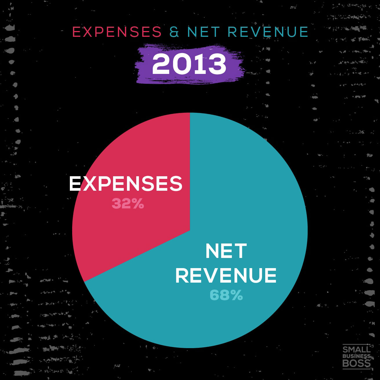 pie chart depicting expenses vs revenue in 2013