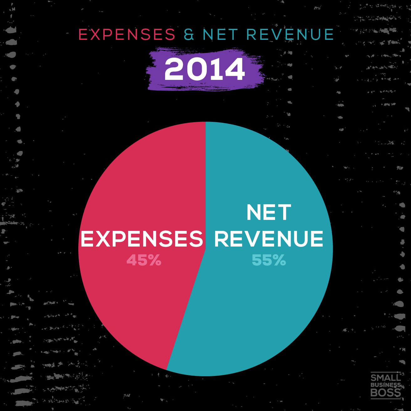 pie chart depicting expenses vs revenue in 2014