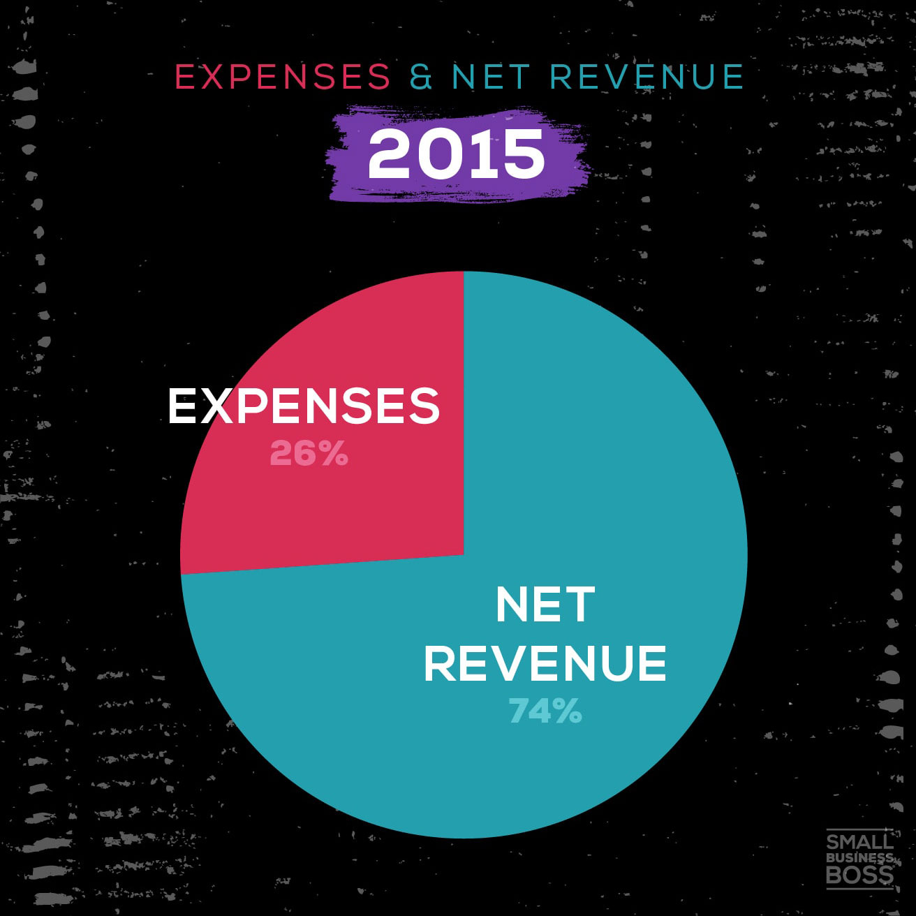 pie chart depicting expenses vs revenue in 2015