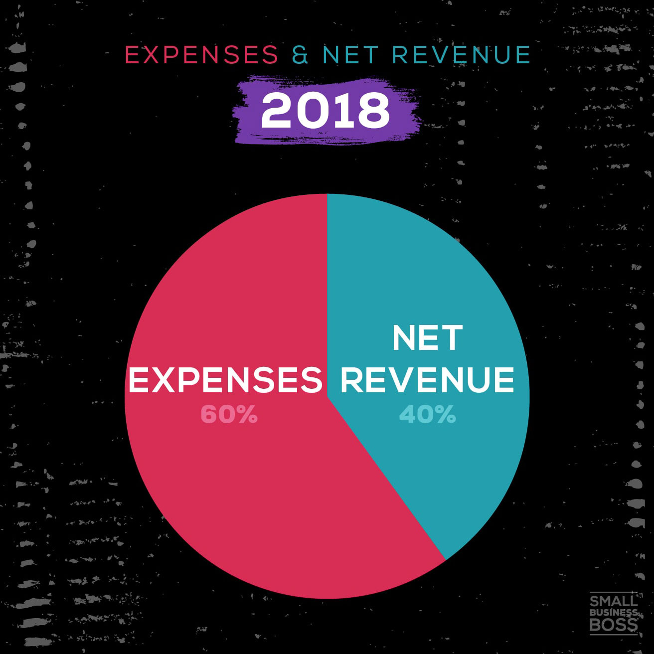 pie chart depicting expenses vs revenue in 2018