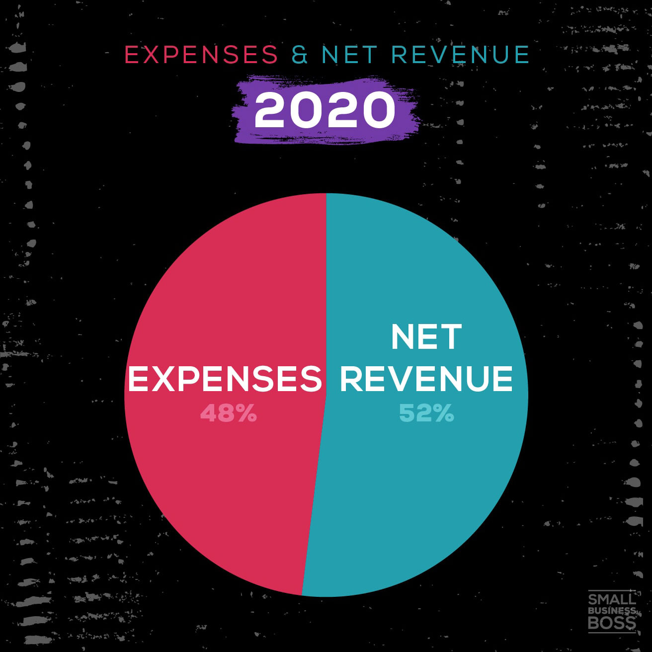 pie chart depicting expenses vs revenue in 2020
