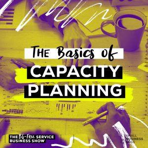 text that reads "the basics of capacity planning"