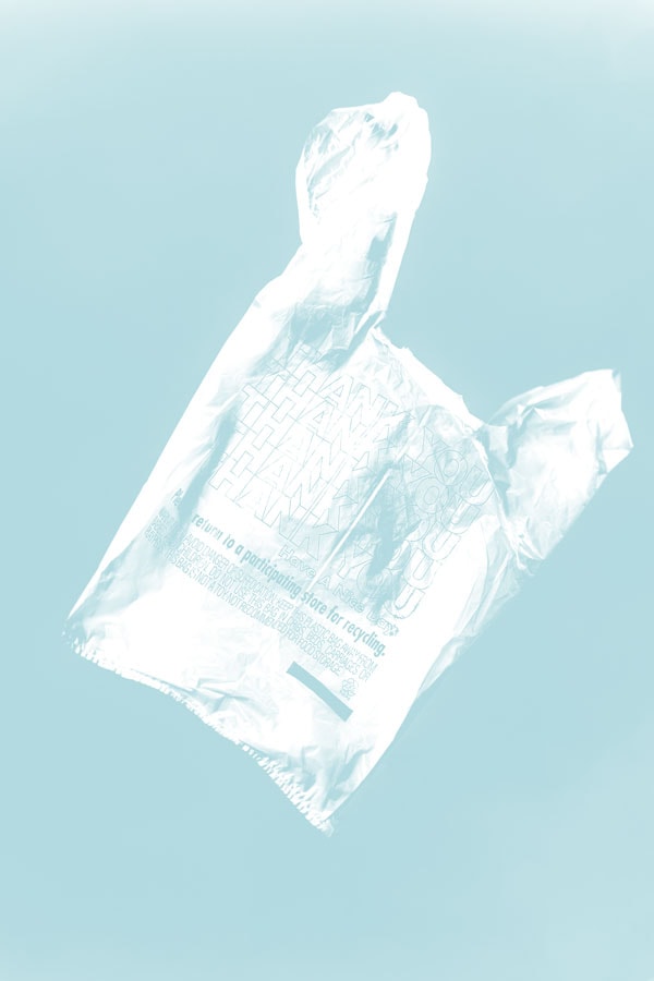 image of single-use grocery bag