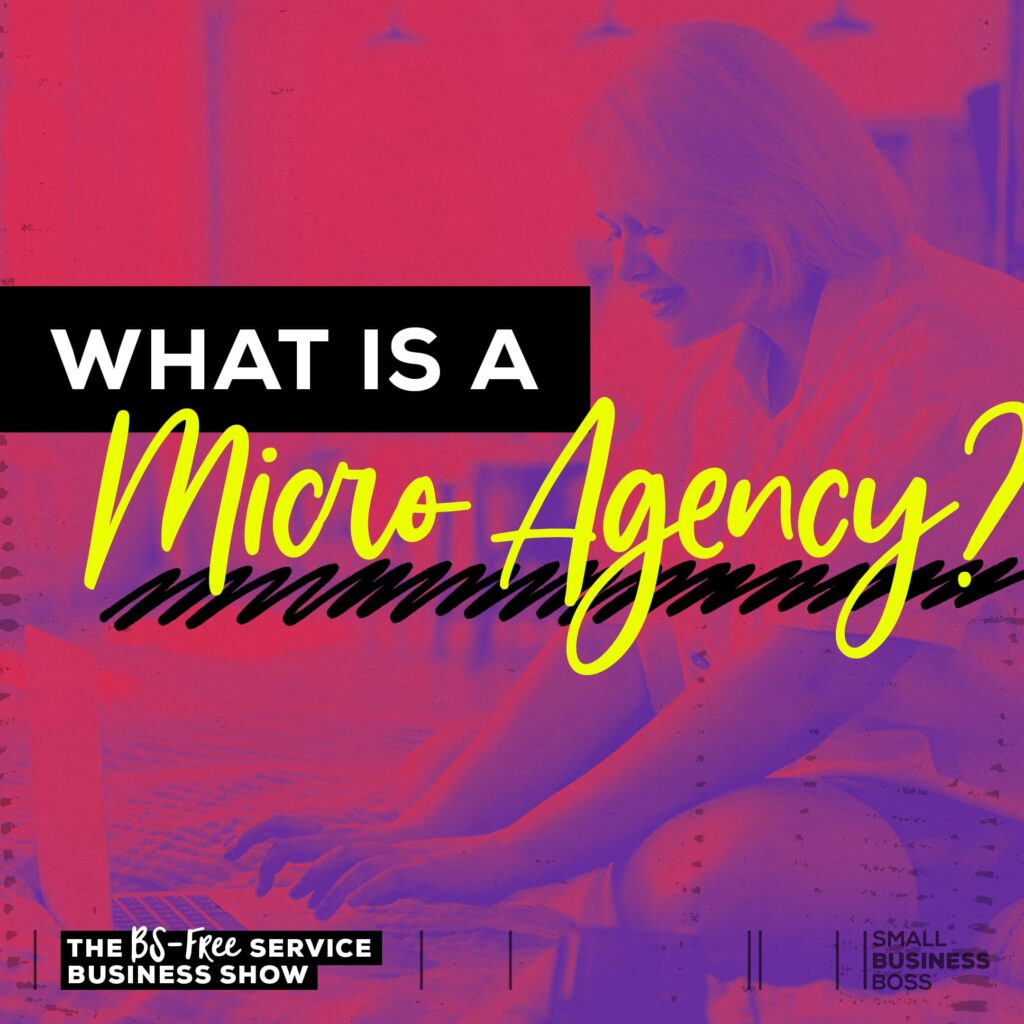What is a Micro Agency?