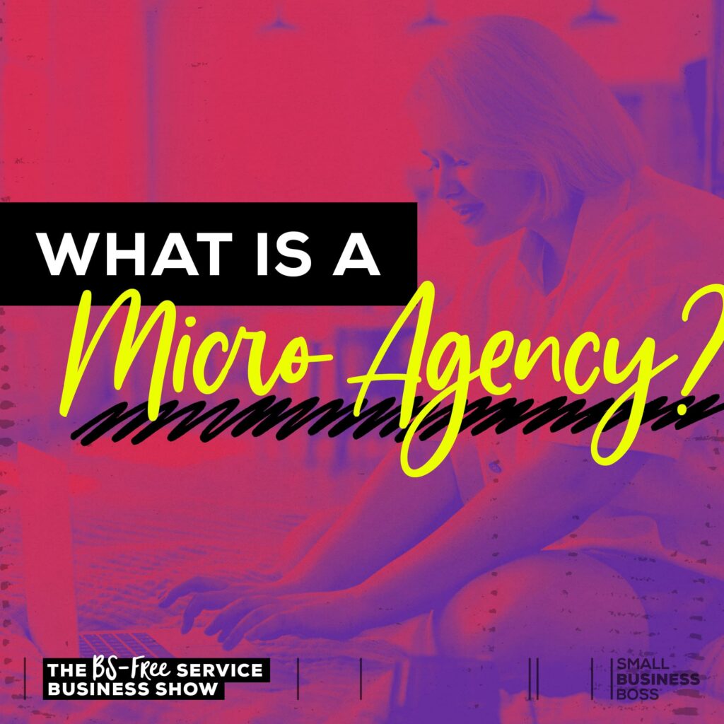 Image of a woman on a laptop with Text that reads "What is a Micro Agency?"