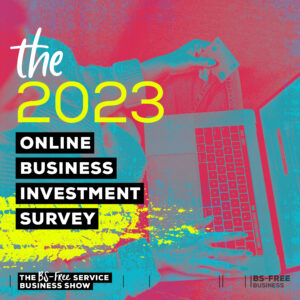 The 2023 Online Business Investment Survey