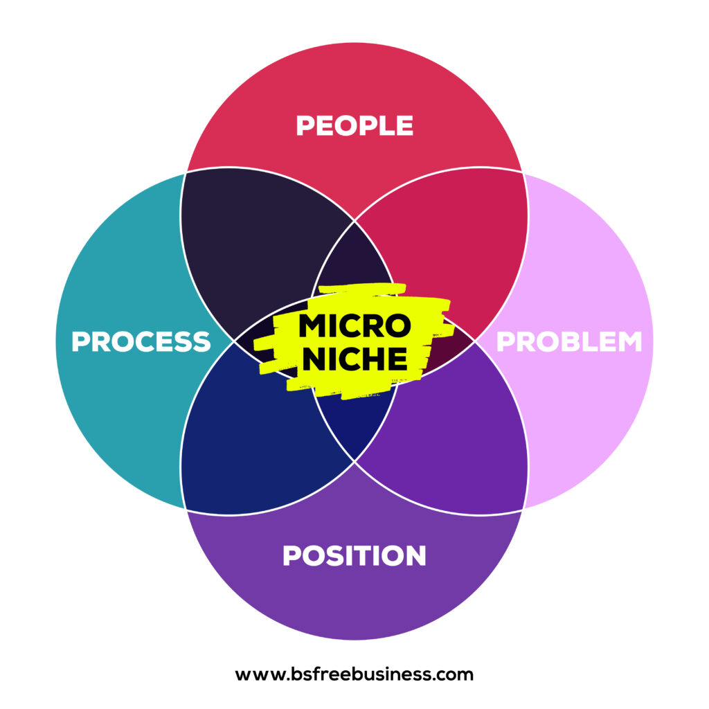 Micro Niche Diagram