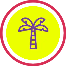 Icon-Palm-Tree Icon-Palm-Tree